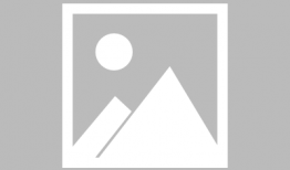 蘑菇动漫,探索奇幻世界，畅游青春记忆